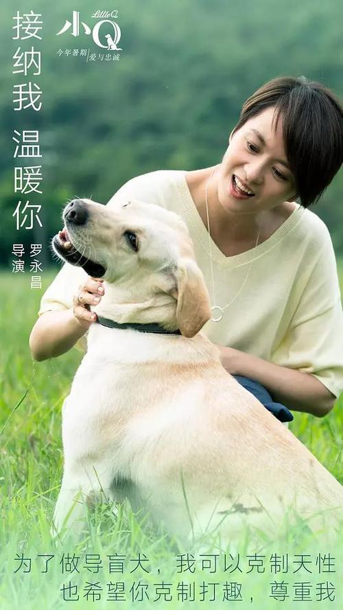 购买仿真东亚银行转账存款小票